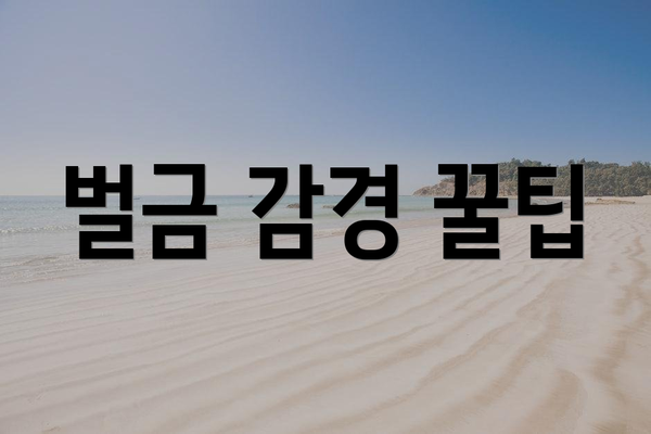 벌금 감경 꿀팁