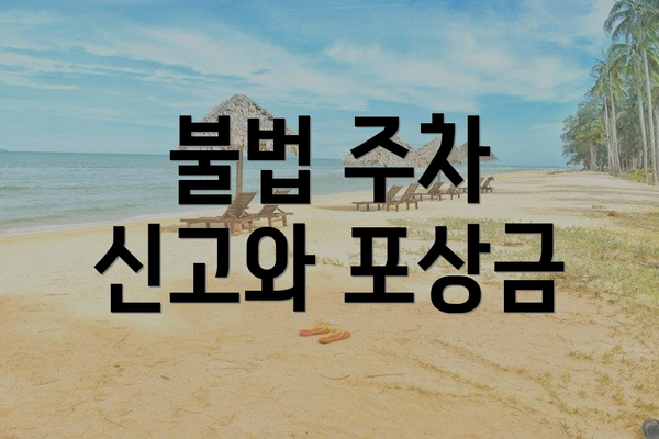 불법 주차 신고와 포상금