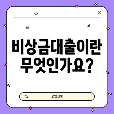비상금대출이란 무엇인가요?