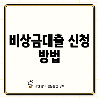 비상금대출 신청 방법