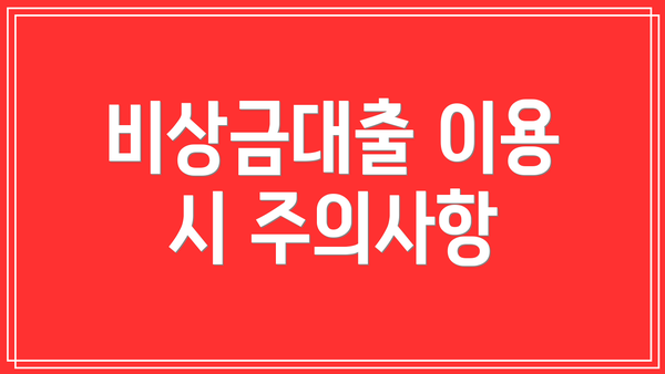 비상금대출 이용 시 주의사항