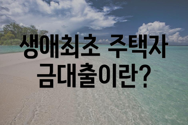 생애최초 주택자금대출이란?