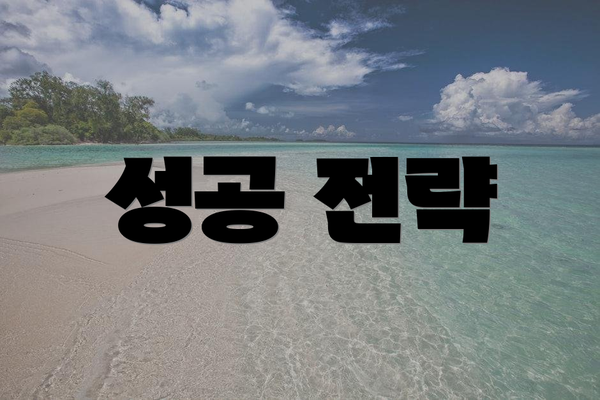 성공 전략