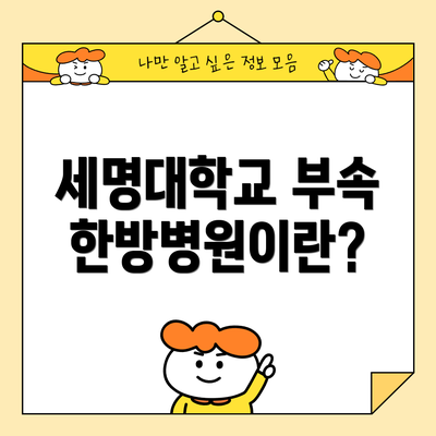 세명대학교 부속한방병원이란?