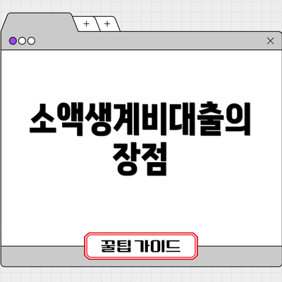 소액생계비대출의 장점