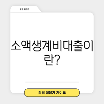 소액생계비대출이란?