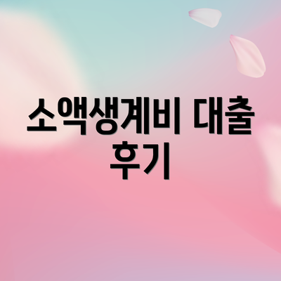 소액생계비 대출 후기