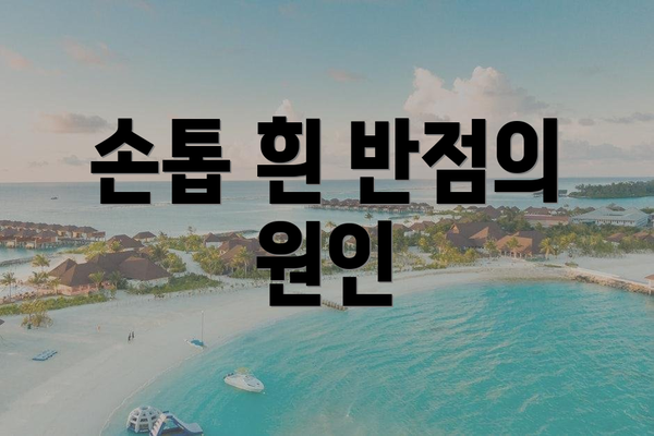 손톱 흰 반점의 원인