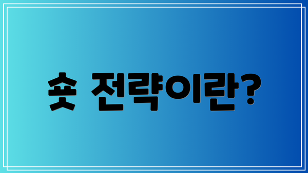 숏 전략이란?