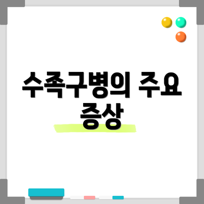 수족구병의 주요 증상