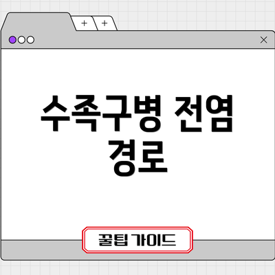 수족구병 전염 경로