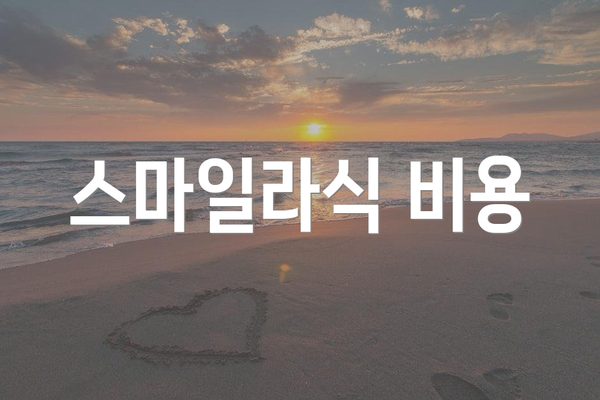 스마일라식 비용