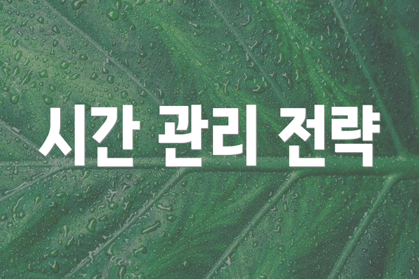 시간 관리 전략