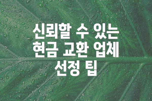 신뢰할 수 있는 현금 교환 업체 선정 팁