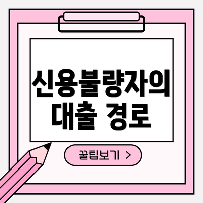 신용불량자의 대출 경로