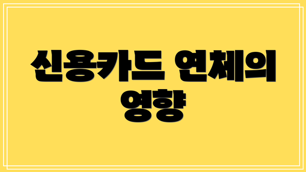 신용카드 연체의 영향