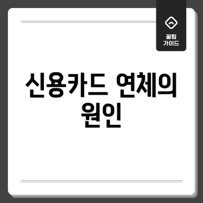 신용카드 연체의 원인