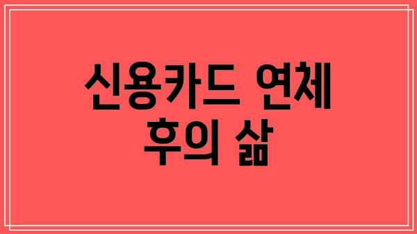 신용카드 연체 후의 삶