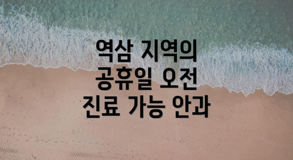 역삼 지역의 공휴일 오전 진료 가능 안과