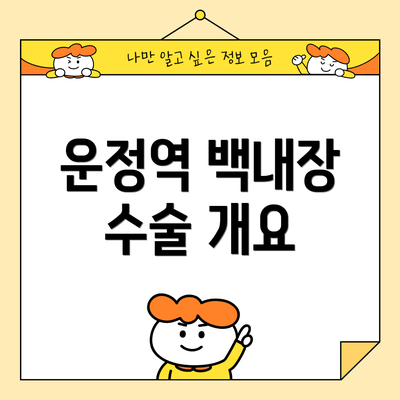 운정역 백내장 수술 개요