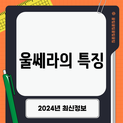 울쎄라의 특징