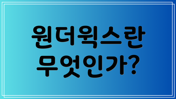 원더윅스란 무엇인가?