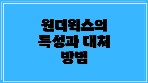 원더윅스의 특성과 대처 방법