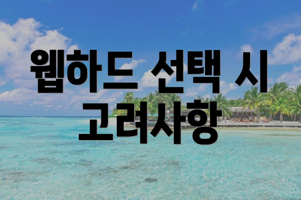 웹하드 선택 시 고려사항