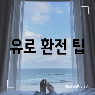 유로 환전 팁