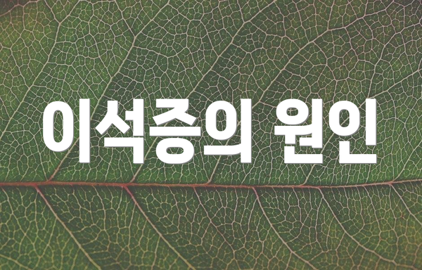 이석증의 원인