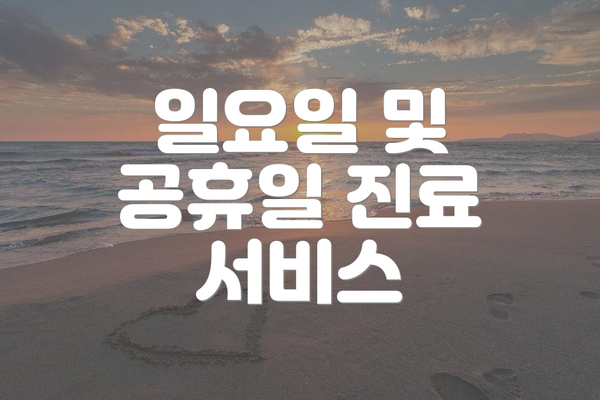 일요일 및 공휴일 진료 서비스