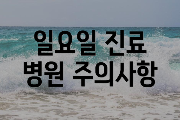 일요일 진료 병원 주의사항