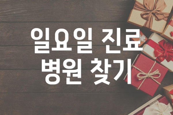 일요일 진료 병원 찾기