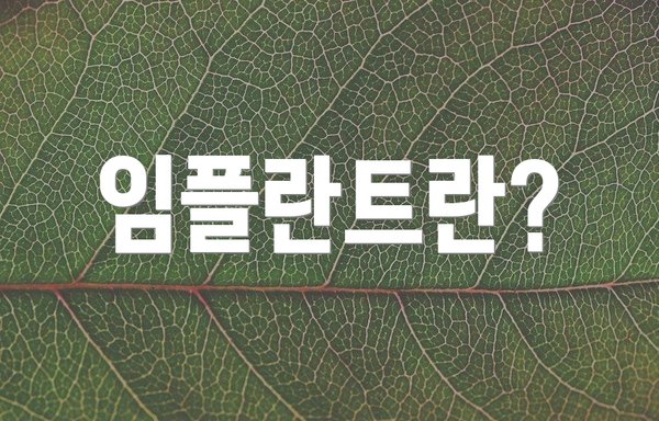 임플란트란?