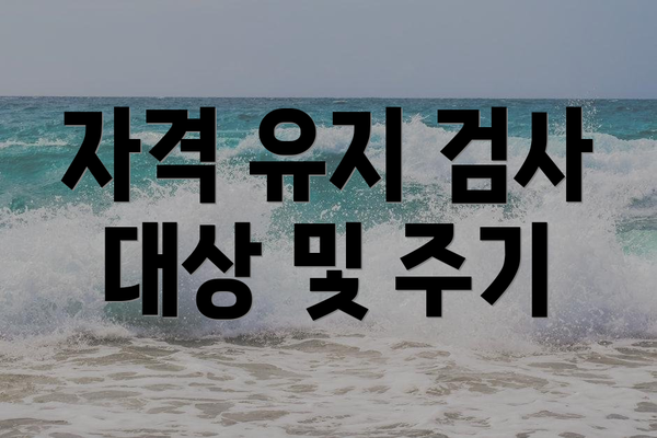 자격 유지 검사 대상 및 주기