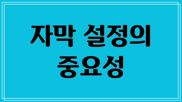 자막 설정의 중요성