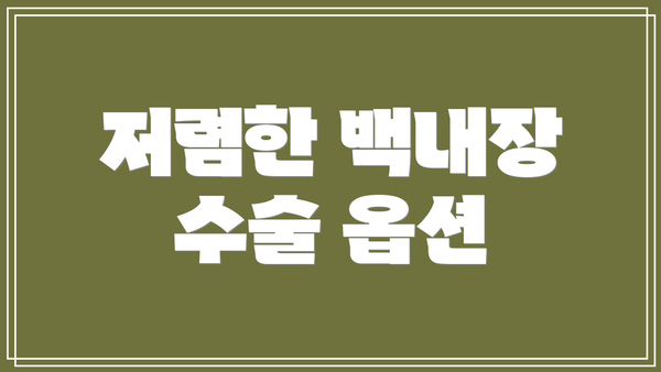저렴한 백내장 수술 옵션