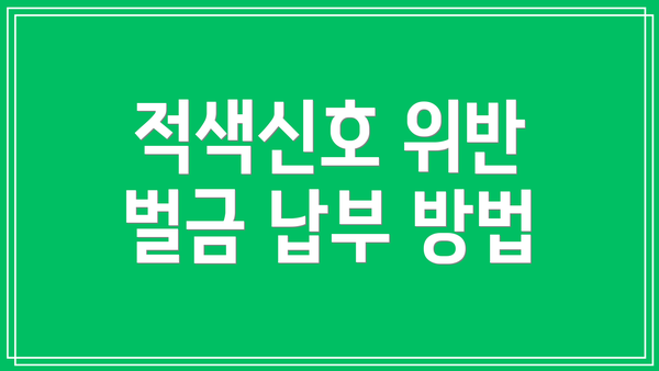 적색신호 위반 벌금 납부 방법