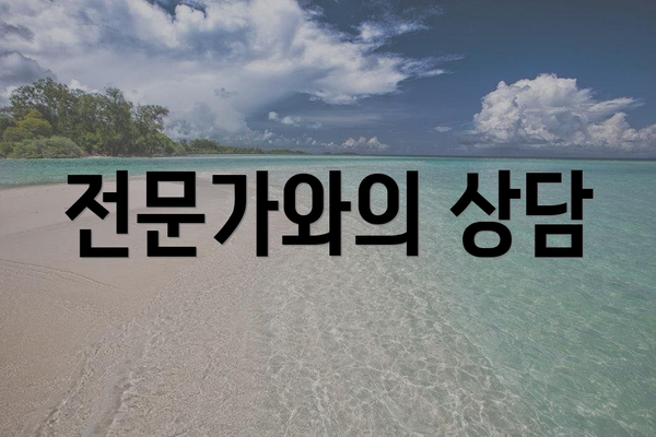 전문가와의 상담