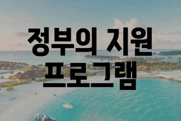 정부의 지원 프로그램