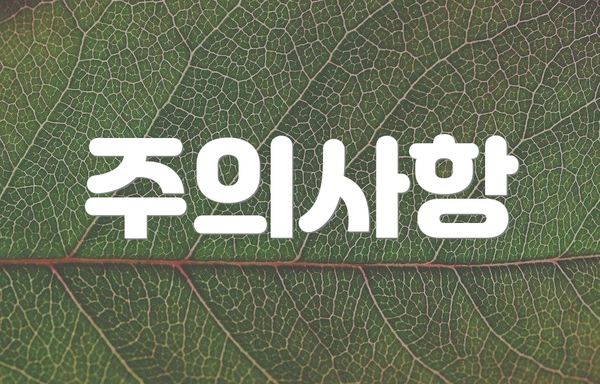 주의사항