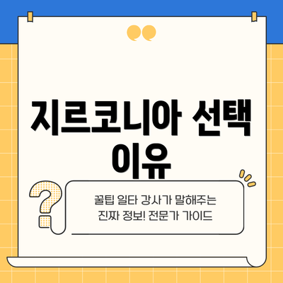 지르코니아 선택 이유