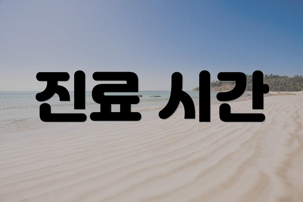 진료 시간