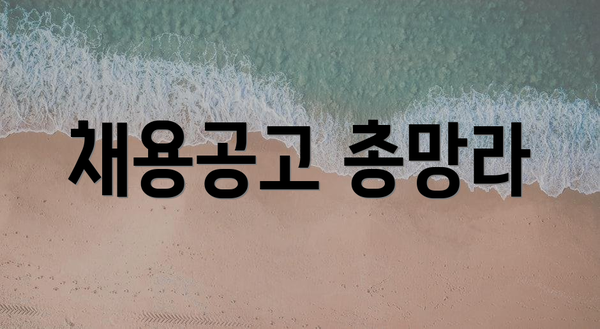 채용공고 총망라