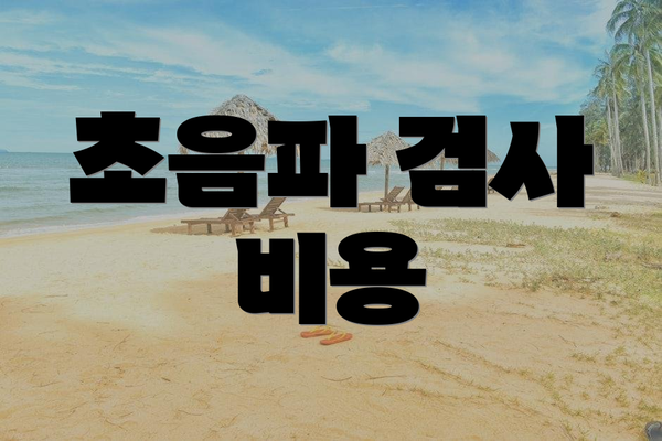 초음파 검사 비용