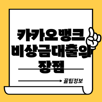 카카오뱅크 비상금대출의 장점