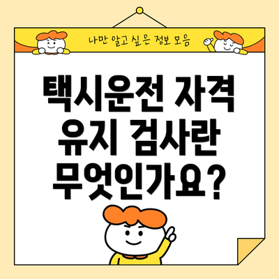 택시운전 자격 유지 검사란 무엇인가요?