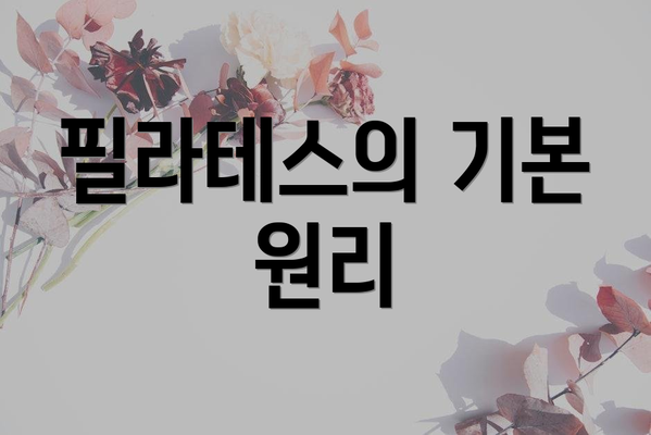 필라테스의 기본 원리