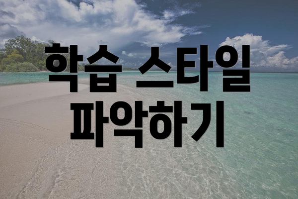 학습 스타일 파악하기