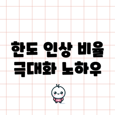 한도 인상 비율 극대화 노하우